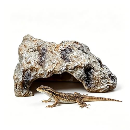 Cueva Natural Hiding PequeñA,Escondite De Reptiles,DecoracióN De Cueva