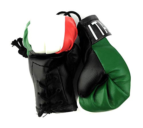 Image of Hanging Car Mirror Mini Boxing Gloves (Italy)