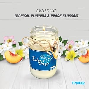Beach candle by tumbler home scented soy candle made in usa beachy candle makes great coastal decor long lasting 90 hour burn time island oasis  urban country home decor