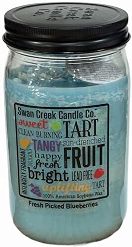 Swan Creek 24 oz Pantry Jar Candle - Fresh Picked Blueberries
