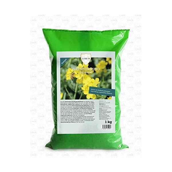 Linsor Gelbsenf Gründünger, Bodenverbesserer, schnellgrüner Erosionsschutz, Zwischenfrucht, 1kg für 200m²