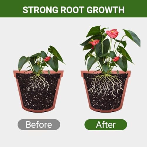 Image of epsom Salt for Plant 1kg - Growth Supplement Fertilizer for Plants, Organic Magnesium Sulphate Growth Booster Fertilizers for Gardening Indoor & Outdoor Plants, Crystal
