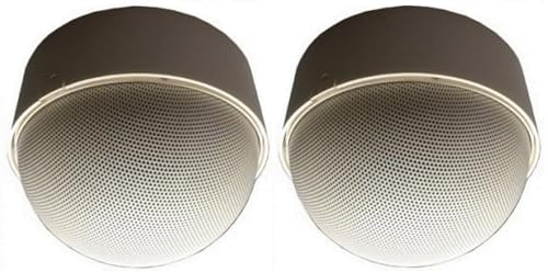 OWI AMP-HD-NEP-2W Set of (2) Neptune Speakers with HD Amplifier 20 Watt, 2 Each; Outdoor/Indoor Speakers; 5 Inches, 5 Way; Dynamic 360-Degree Sound - 180-Degree Dispersion; White
