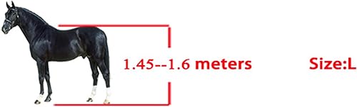 Miniatura 7 de Pssopp Juego de 4 botas de tendón de caballo, botas de caballo gruesas de poliuretano con carcasa de caballo, botas ligeras con parte delantera