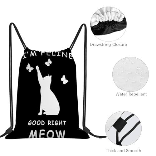 I'M FELINeE GOOD MEOWs CAT LOVERrS FUNNY Drawstring Bag For Gym3