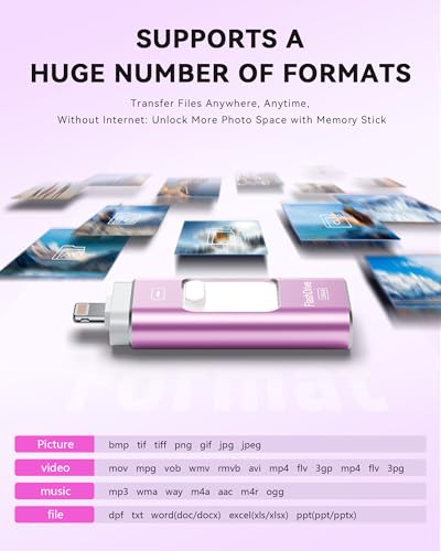 Image of Apple MFi Certified 256GB Flash Drive for iPhone Thumb Drive Photo Stick, USB Memory Stick iPhone Flash Drive for Photos Videos, High Speed Jump Drive Compatible for iPhone /iPad /Android /PC (Purple)