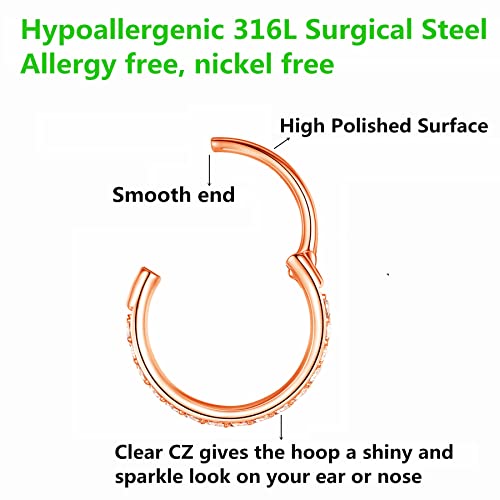 BLESSMYLOVE Clear CZ Nose Rings Hoop 316L Surgical Steel Cartilage Earrings Conch Daith Helix Rook Tragus Lobe Snug Body Piercing Jewelry 20G 18G 16G Stainless Steel Hinged Segment Rings Lip Rings