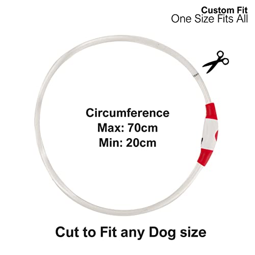 Murr LED Dog Collar Light, Red - Image 3