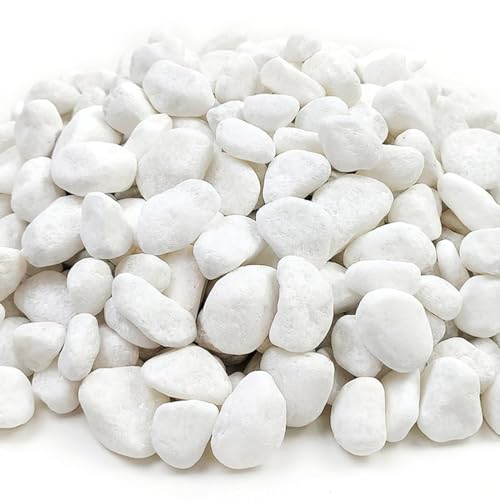 Piedra Canto rodado 10-20 mm Blanco Puro 5-10-20 Kg para decoracion exterior e interior, jardines, macetas, suelos. (Blanco puro, 10 kg)