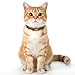 DOPENSPI 2 Pcs PU Leather Cat Collar Breakaway with Bell, Personalized Adjustable Cat Collars Retro Collars Pet Leather Collar with Quick Release Buckle for Cats Kittens