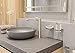 hansgrohe AddStoris 6-inch Toilet Paper Holder with Shelf in Brushed Nickel, 41772820