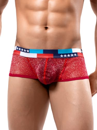 Mens Sexy Mesh Underwear, Sparkly Low Rise Boxers Briefs, USA American Flag Glitter, Sparkle Lingerie Bikini