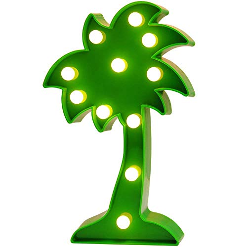 Best Palm Tree For Office