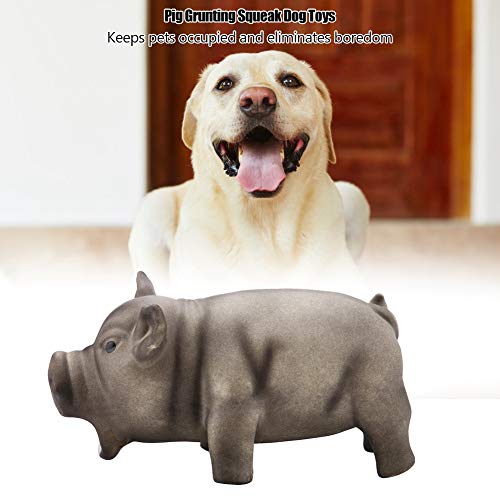 FTVOGUE Hundekauen Spielzeug - Nettes Schwein Grunzen Quietschen Latex Pet Chew für Hundewelpen(03)