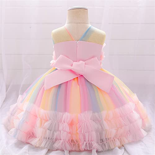 Toddler Kids Girls Sleeveless Party Dresses Photograph Rainbow Flower Mesh Dress Lace Fluffy Tulle Pageant2
