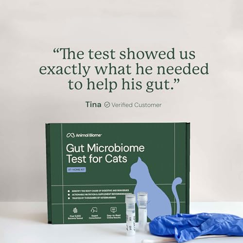 Image of AnimalBiome Cat Gut Health Microbiome Analysis Kit - Kitty Biome Gut Testing Kit, Feline Fecal Analysis for Digestive Issues, Diarrhea & Allergy Insights w /Personalized Report (Cats Outside US)