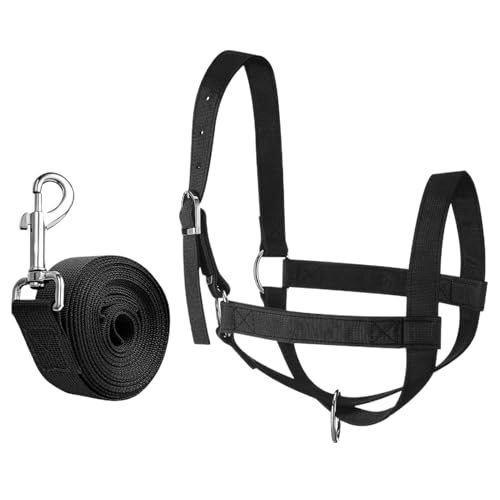 Cabestro de - Cabestro de Oveja de 1-2 cm, Correa de Cabestroo de Cordero Ajustable, Collar de PP con Cabeza de Cabesto de con Cuerda | Equipo ajustable que muestra suministros de ganado par