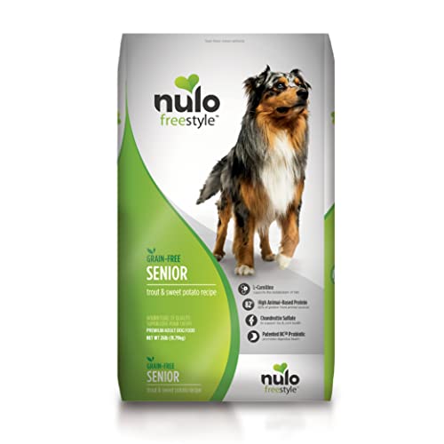 Say Goodbye to Stinky Poops Top 10 Dog Foods that Keep Your Furry Friend's Business OdorFree