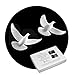 The DOVES from HOME ALONE 2 THE AUTHENTIC & ORIGINAL from John Perry