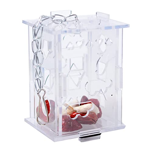 Parrot Feeder Foraggio Box Hanging Treat Foraggiamento Giocattolo Altalena Giocattolo Per Piccolo Uccello Trasparente Acrilico Supporto Cibo Per Conures