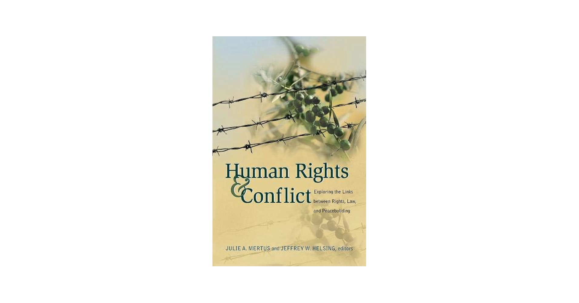 Human Rights And Conflict: Exploring the Links Between