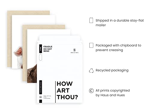 Haus And Hues Rustic Farm Animal Pictures Set Of 6, Farmhouse Wall Art & Country Pictures For Kitchen Walls | Farm House Decor, Horse Wall Art, Sheep Posters, Cow And Pig Pictures 8"X10" Unframed #TOP2