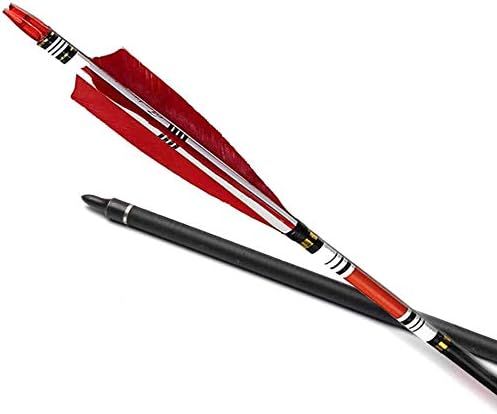 Vista 4 de EROCK Flechas de tiro con arco de carbono de 32 pulgadas con pavo real flecha flecha para arcos compuestos recurvos caza objetivo práctica columna