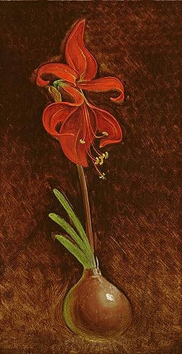 Affiche toile Amaryllis Formosissima Philipp Otto Runge pour décoration murale salon