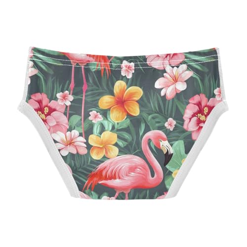 Wusikd Cute Pink Flamingos Boys' Underwear Cotton Exotic Flowers Boys Briefs Soft Toddler Underwear 2T2