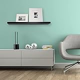 InPlace Shelving 0191436 Warwick Floating Wall Mountable Shelf with Invisible Bracket, Black,...