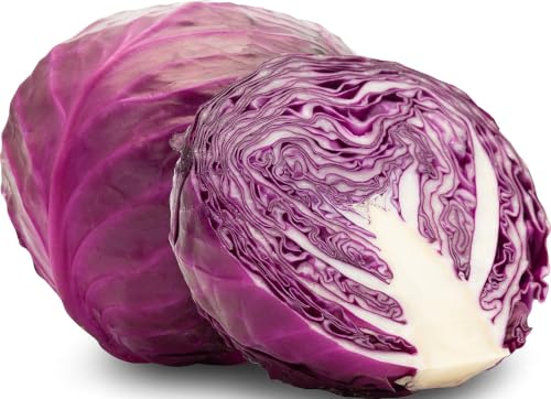 Lombarda - 1.9 kg