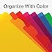 Oxford Plastic Binder Dividers for 3 Ring Binder, Durable Plastic Binder Divider, 8 Tab, Multicolor Tabs, 3 Hole Punched, Letter Size, 6 Sets (89601)