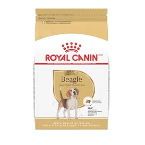 Royal Canin Beagle Adult Dry Dog Food, 30 lb bag