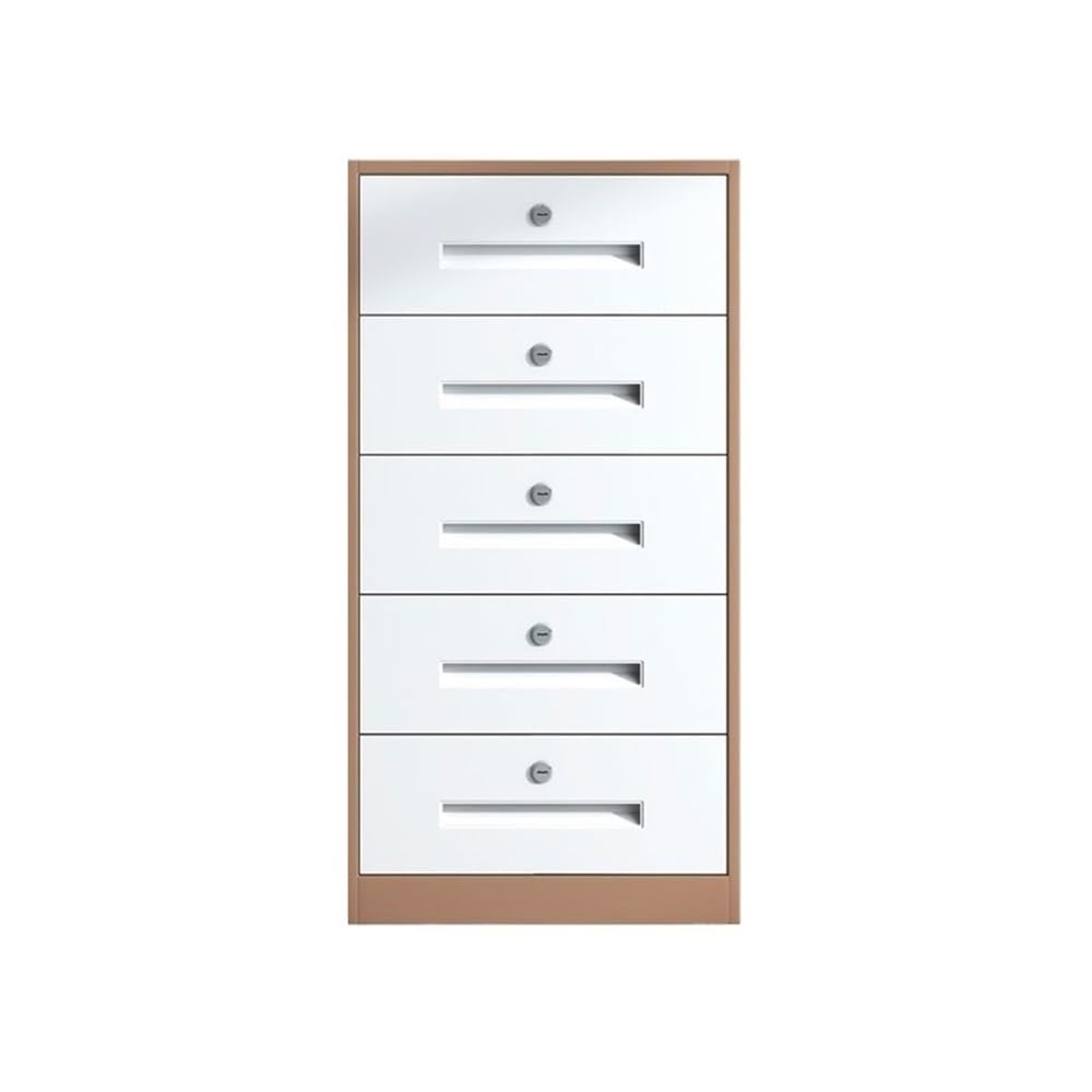 Aioneer Bruin Steel Filing Cabinet With Increased Capacity For Home And Office Storage Multifunctional White Office Cabinet For File Data Storage-One Size