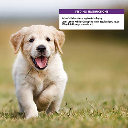 Wellness Crunchy Puppy Bites Natural Grain-Free Treats For Training, Dog Treats With Real Meat And Dha, No Artificial Flavors (Crunchy Chicken & Carrots, 6-Ounce Bag) #TOP6