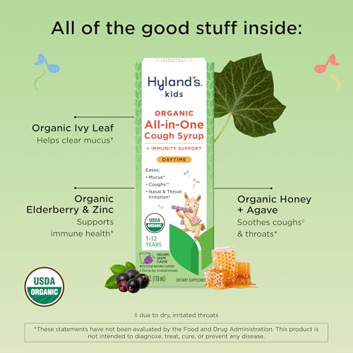 Image of Hyland's Kids Cough Syrup All-in-One for Daytime, Organic (Grape) 4 fl oz