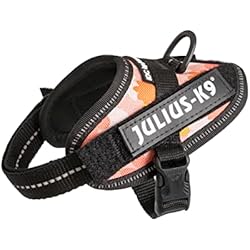 Arnes Clase 1 Julius-K9, Arnés IDC Power, Tamaño: 3XS / Baby 1, Rosa con Flor