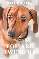 You Are Awesome: Notebook for Drawing and Writing, Dachshund, Diary, (Composition Book, Journal) 1654631949 Book Cover