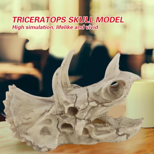Modelo de cráneo de dinosaurio Triceratops miniatura 2