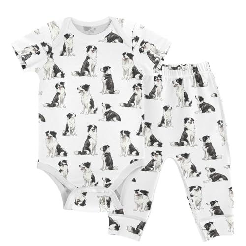 vvfelixl Unisex Short Sleeve Baby Pants Sets,Border Collies Poses Baby Bodysuits Set,Babys Layette Sets Clothes for 18-24M