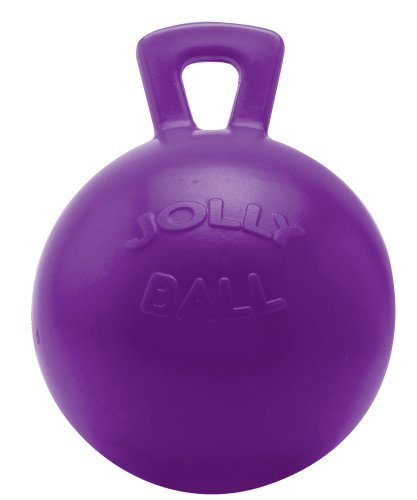 Horsemans Pride Jolly Ball: Purple by Horsemens Pride