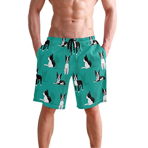 Boston Terrier Dogs Men's Beach Shorts Mens Swim Trunks Shorts Quick Dry Swimwear Pants with Mesh Lining XXL