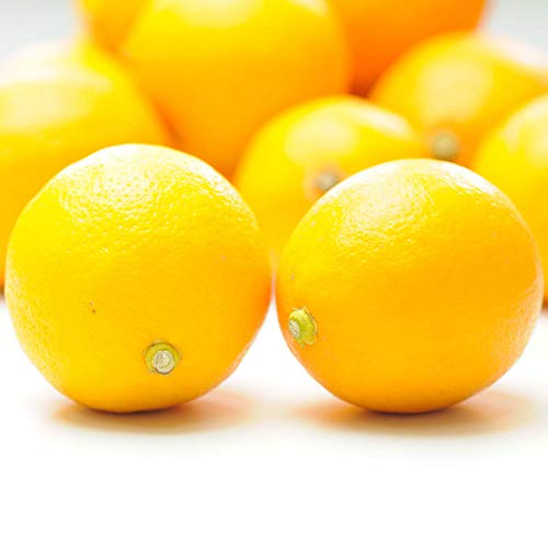 野菜ダイエットは危険 逆に太る 野菜だけ食べても痩せない理由 Soo To Soo Blog