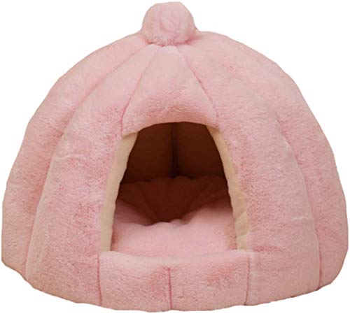 BOLUORY Lxbh LnEX h[^   x bh NbV ^ LbgnEX ybg xbh ӂӂ g ybgxbh ybgnEX ΍ ۉh ~ (sN)