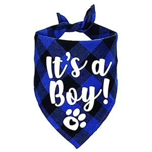 STMK It's A Boy Hundehalstuch Kariert