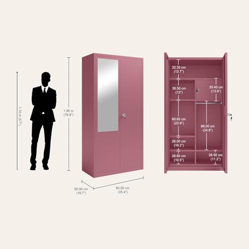 Image of Interio by Godrej Luminex NX 2-Door Steel Almirah with Mirror (Textured Dusty Rose), 1-Year Warranty, 1 Locker, 5 Shelves