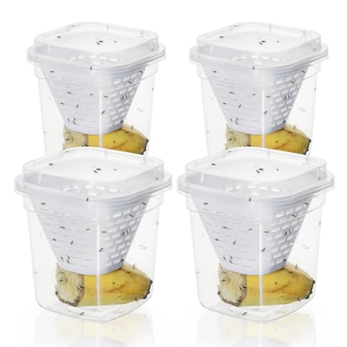Plai Juego de 4 trampas para Moscas de la Fruta, eficaz, sin Cebo, atrapamoscas para Interiores, Reutilizables, para Interiores