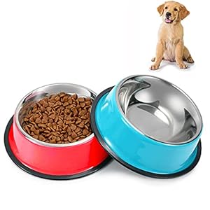 SUOXU Lot de 2 gamelles antidérapantes en acier inoxydable pour chien et chat