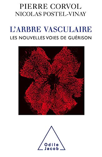 Télécharger L'Arbre vasculaire: Les nouvelles voies de guérison PDF