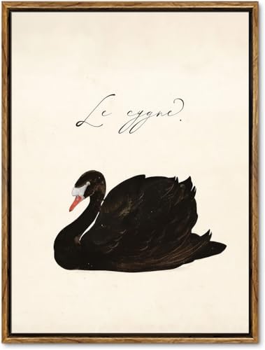 EAGLOG Framed Vintage Swan Wall Art Black And White Canvas Print Classic Aesthetic Home Decor Rustic Wall Decor Animal Farmhouse Artwork Suitable for Living Room Bedroom Office Wall Decoration